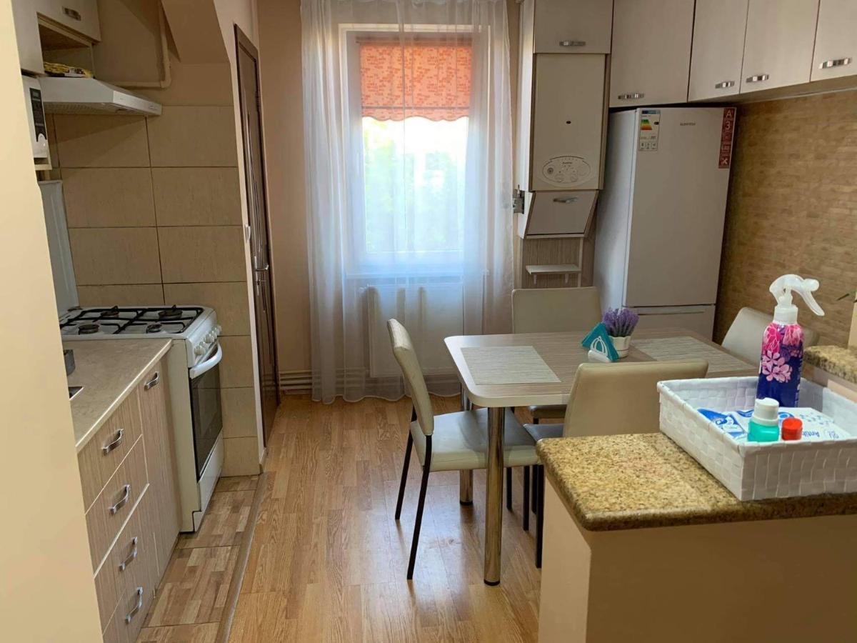 Vlad'S Apartment Târgu-Mureş Dış mekan fotoğraf